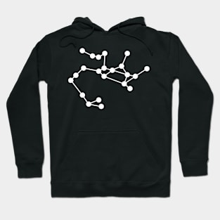 Sagittarius Horoscope Zodiac Hoodie